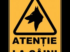 Placuta atentie la caine